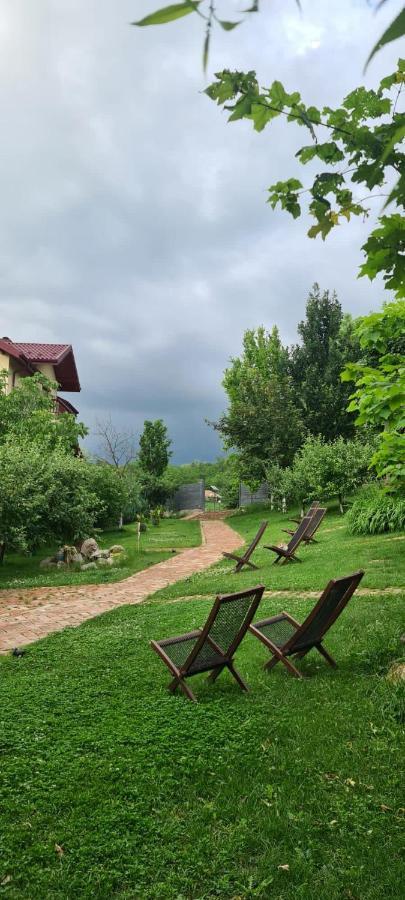 Enpi Lake Resort Iasi Exterior foto