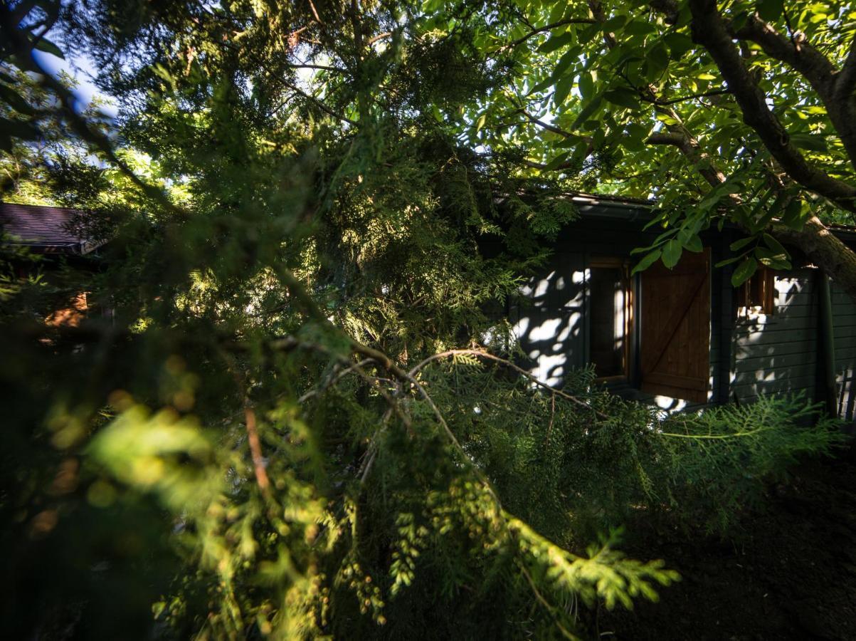 Enpi Lake Resort Iasi Exterior foto